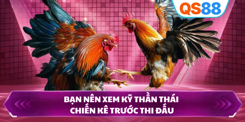 Bạn nên xem kỹ thần thái chiến kê trước thi đấu