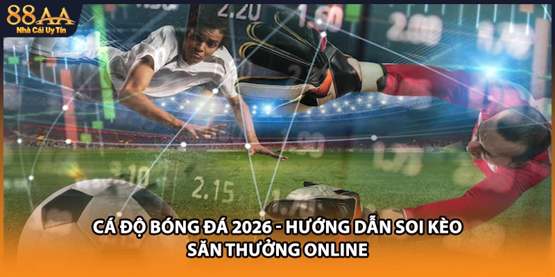 Cá Độ Bóng Đá 2026 - Hướng Dẫn Soi Kèo Săn Thưởng Online