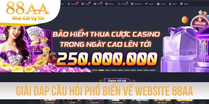 Giải đáp một số câu hỏi phổ biến về website 88AA